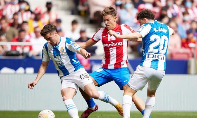 到多點開花 到多點開花